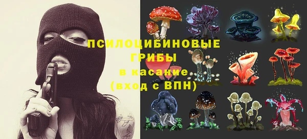 эйфоретик Иннополис