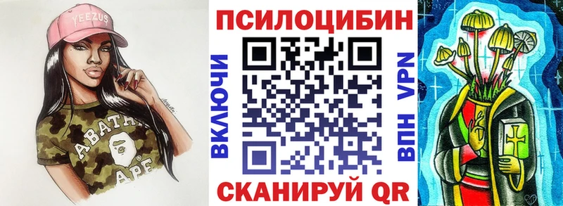 Галлюциногенные грибы мицелий  купить   Шали 