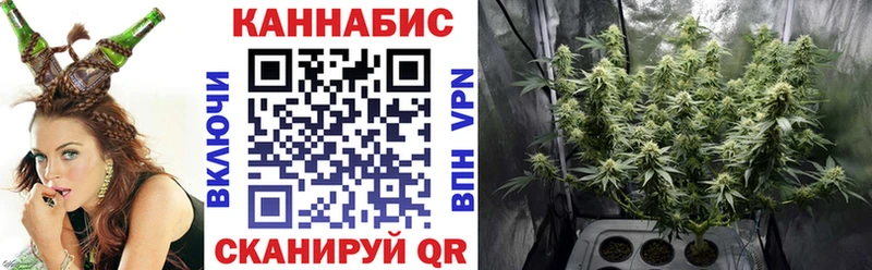 Шишки марихуана Amnesia  наркотики  Шали 